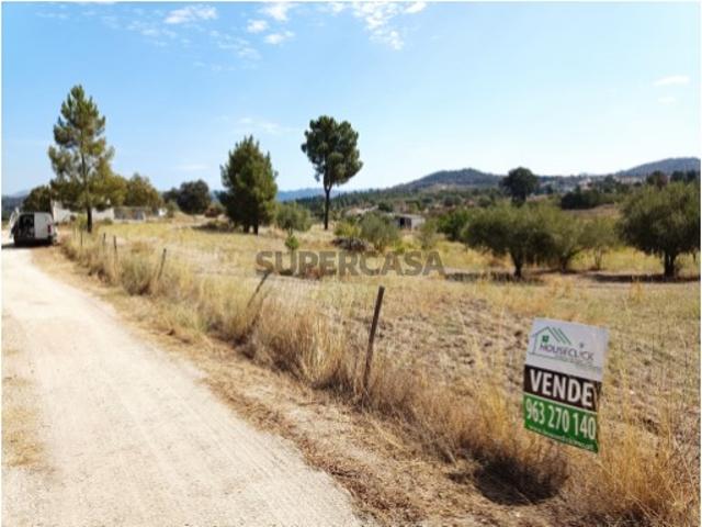 Terreno venda em Castelo Branco