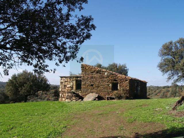 Terreno venda em Castelo Branco, Idanha-a-nova