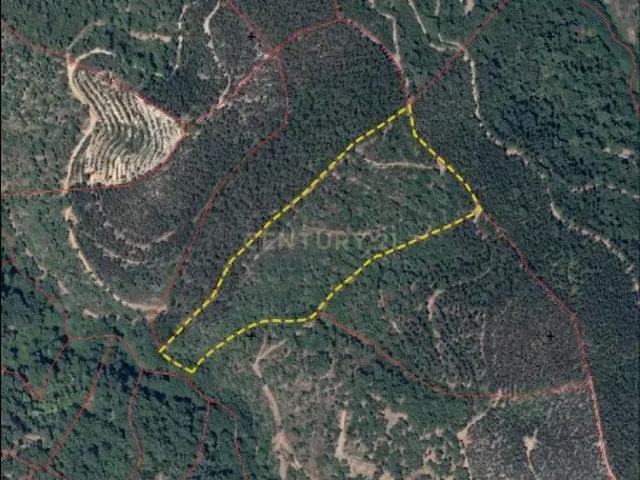 Terreno venda em Monchique, Faro