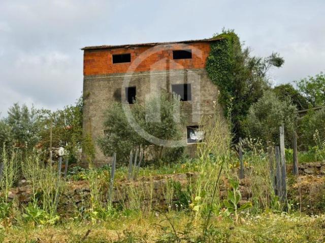 Terreno venda em Carregal Do Sal, Viseu