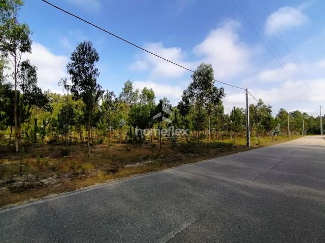 Terreno venda em Figueira Da Foz, Coimbra