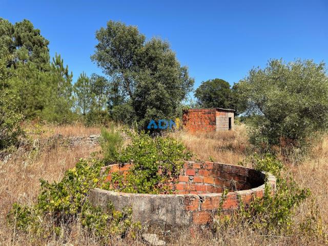 Terreno venda em Castelo Branco