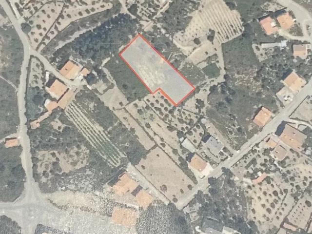 Terreno venda em Castelo Branco, Proença-a-nova