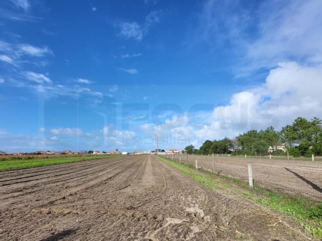 Terreno venda em Gafanha do Areão, Ponte De Vagos