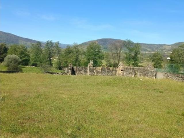 Terreno venda em Castelo Branco