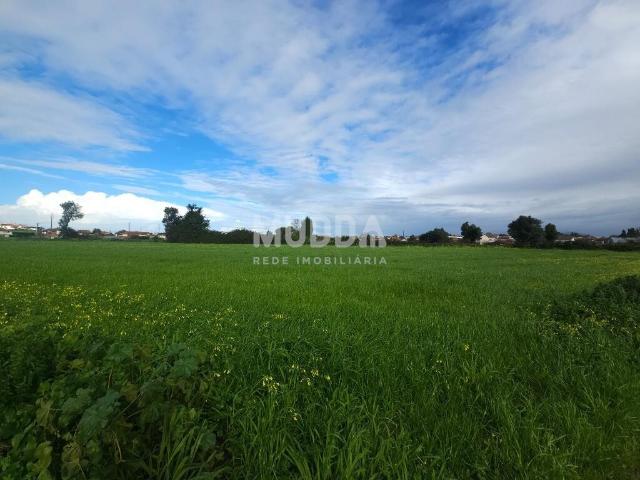 Terreno venda em Estarreja, Aveiro