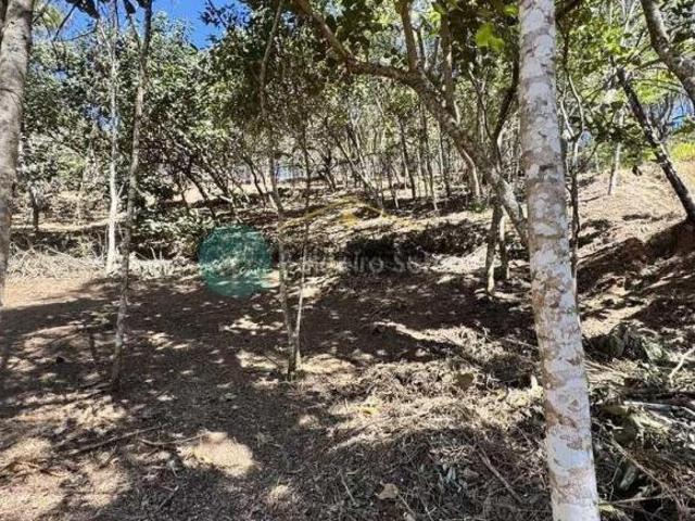 Terreno venda em Região Imediata de Taubaté-Pindamonhangaba, Região Metropolitana do Vale do Paraíba e Litoral Norte