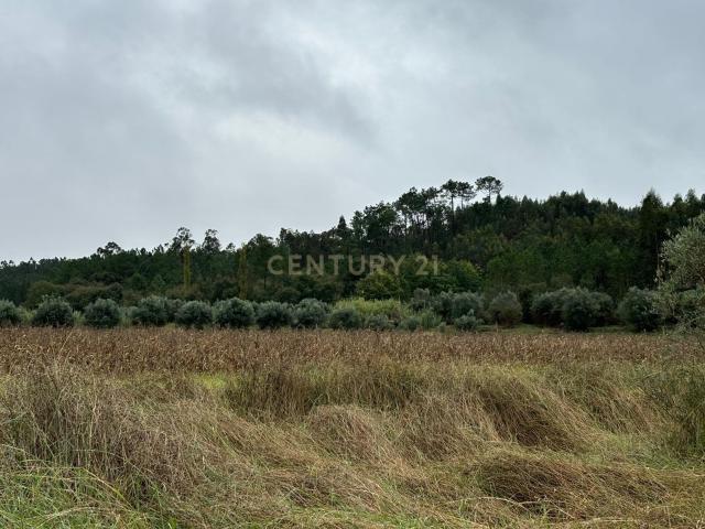 Terreno venda em Pombal, Leiria