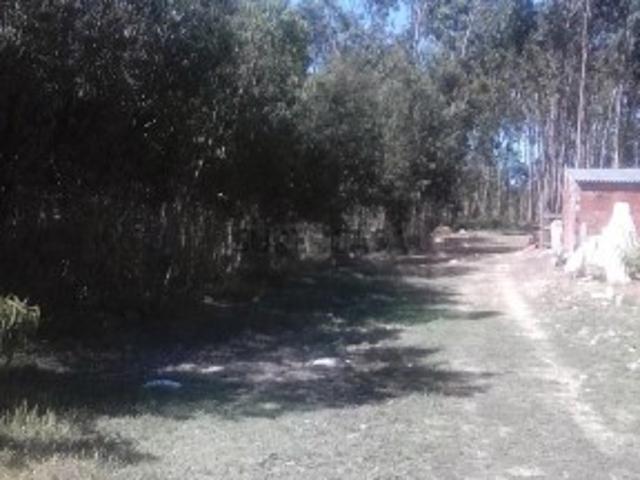 Terreno venda em São Bartolomeu dos Galegos e Moledo, Lourinhã