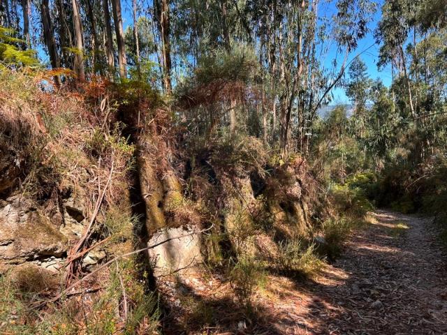 Terreno venda em Boalhosa, Viana Do Castelo