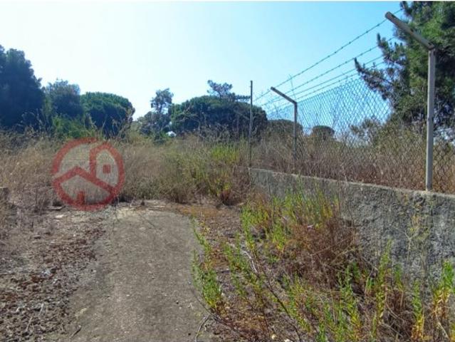 Terreno venda em Bairro dos Corticeiros, Amora