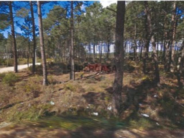 Terreno venda em Castelo, Sesimbra