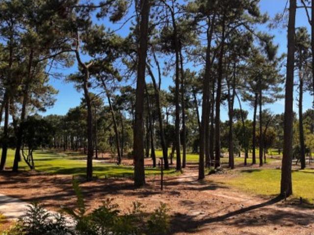Terreno venda em Almada, Setúbal