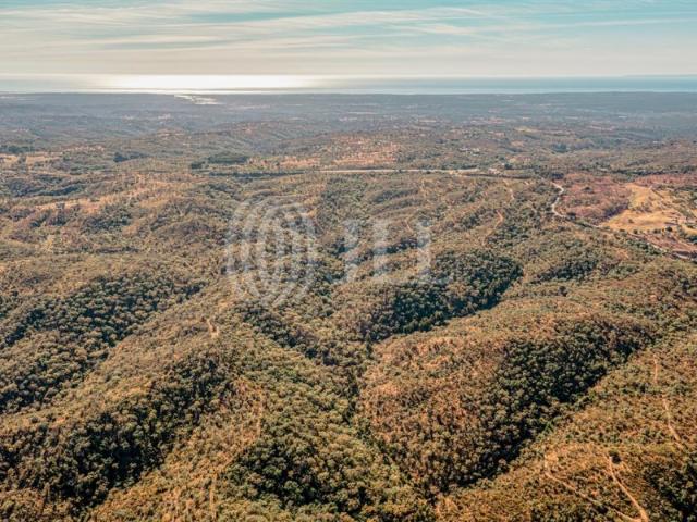 Terreno venda em Grândola, Setúbal