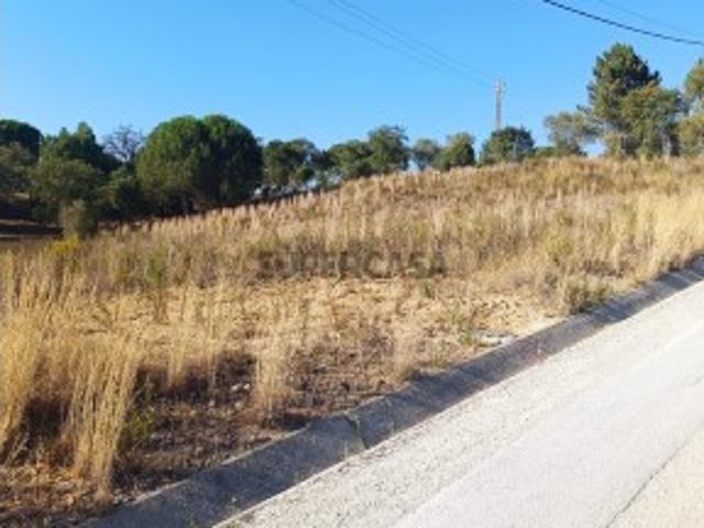 Terreno venda em Chamusca e Pinheiro Grande, Chamusca