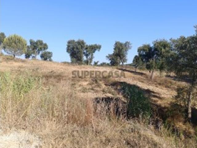 Terreno venda em Chamusca e Pinheiro Grande, Chamusca