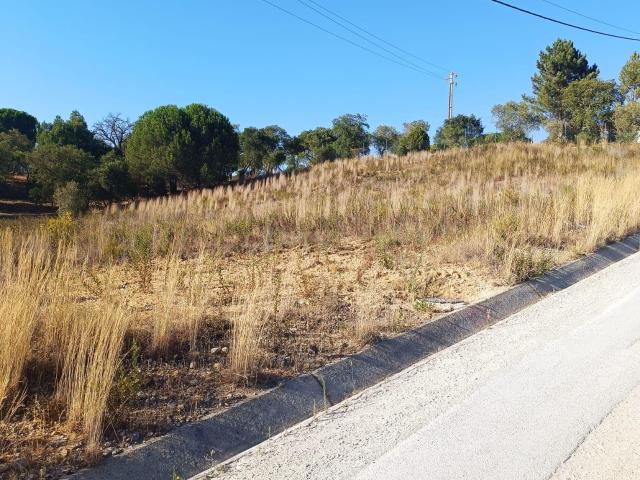 Terreno venda em Chamusca e Pinheiro Grande, Chamusca