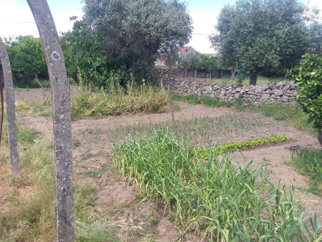 Terreno venda em Castelo Branco, Idanha-a-nova