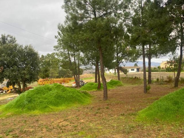 Terreno venda em Castelo Branco, Aldeia Nova Do Cabo