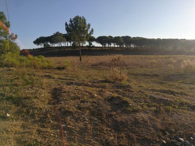 Terreno venda em Sesimbra (Castelo), Sesimbra
