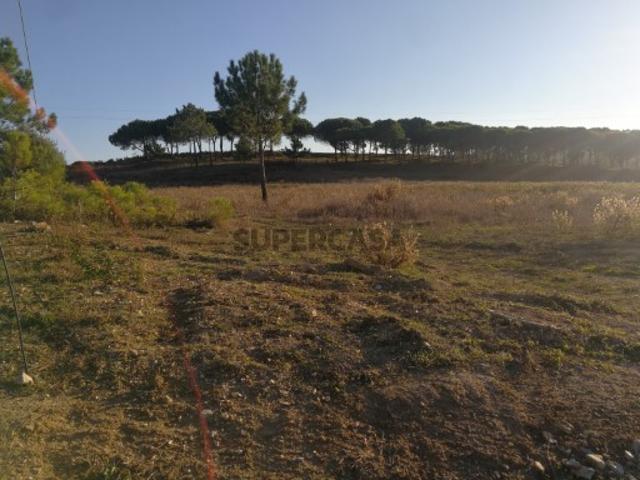 Terreno venda em Sesimbra (Castelo), Sesimbra