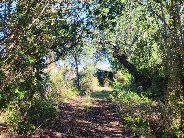 Terreno venda em Loulé, Faro