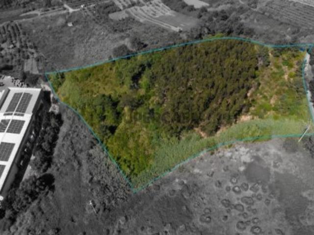 Terreno venda em Torres Vedras, Lisboa