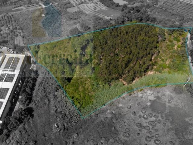Terreno venda em Torres Vedras, Lisboa