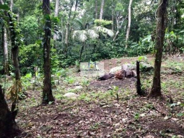 Terreno venda em Maresias, São Sebastião