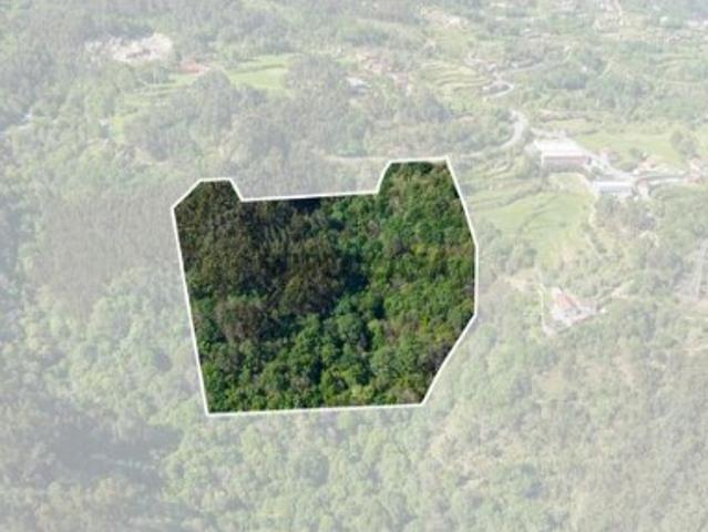 Terreno venda em Parada Do Bouro, Braga