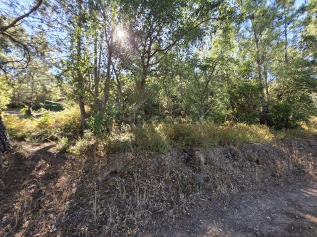 Terreno venda em Bugarrel, Tomar