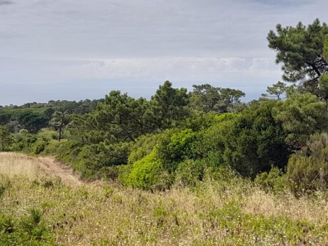 Terreno venda em Sesimbra (Castelo), Sesimbra