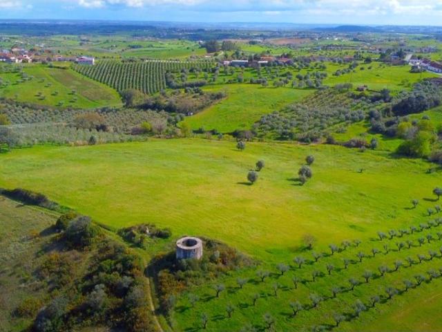 Terreno venda em Achete, Arneiro dos Borralhos