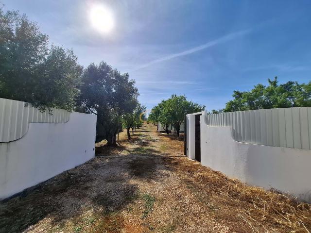 Terreno venda em Albufeira e Olhos de Água, Albufeira