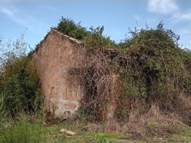 Terreno venda em Torres Vedras, Lisboa