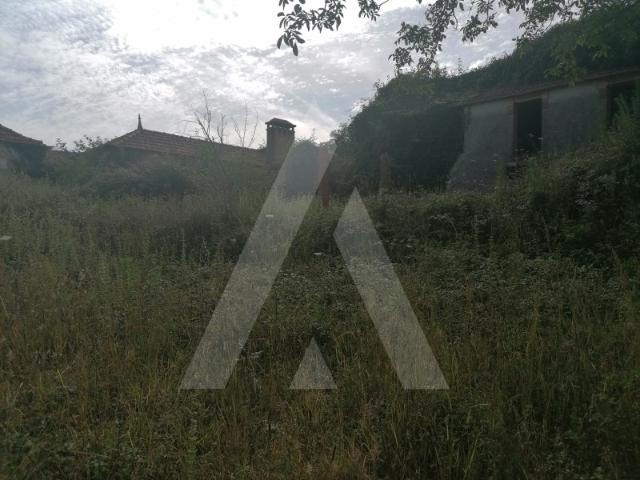 Terreno venda em Albergaria-a-velha, Aveiro