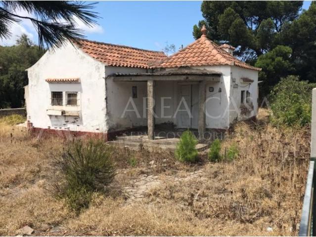 Terreno venda em Ilha Da Madeira