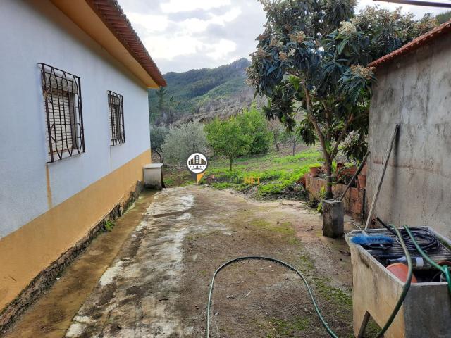 Terreno venda em Castelo Branco, Proença-a-nova