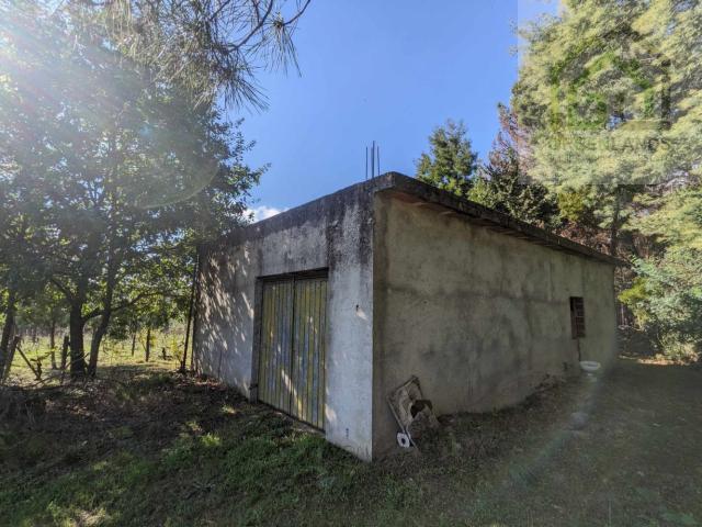 Terreno venda em Tábua, Coimbra