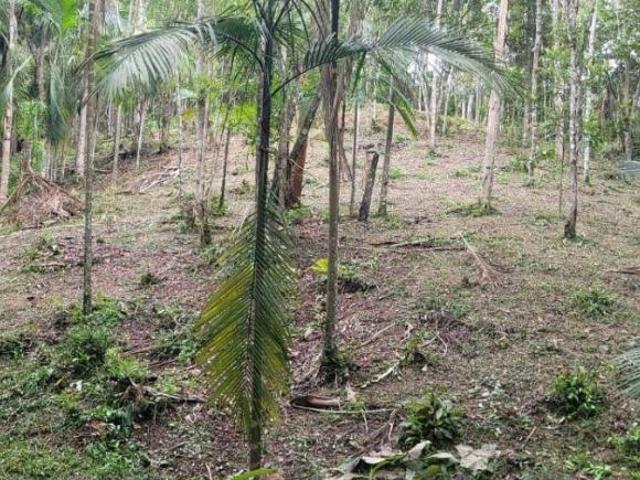 Terreno venda em Região Imediata de São Paulo, Região Metropolitana de São Paulo