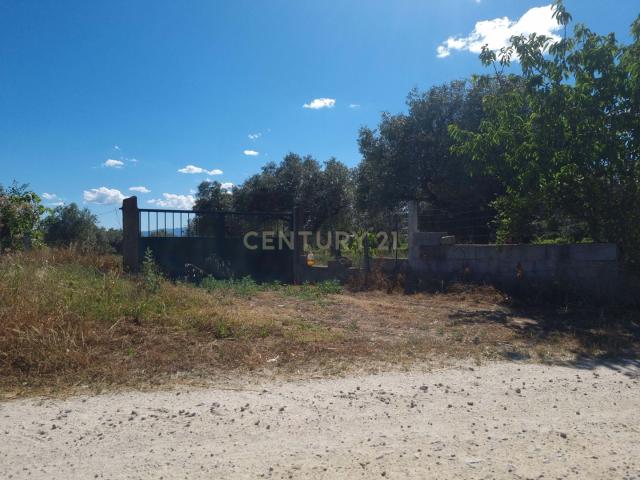 Terreno venda em Castelo Branco, Aldeia Nova Do Cabo