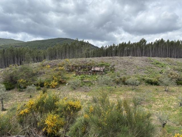 Terreno venda em Pampilhosa Da Serra, Coimbra