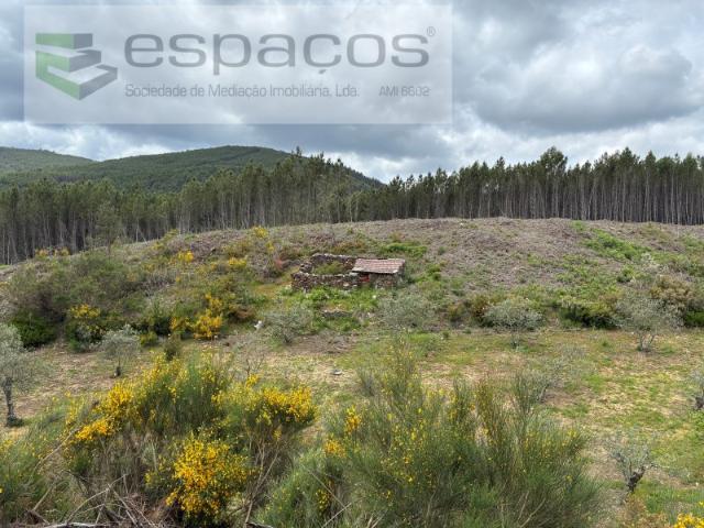 Terreno venda em Pampilhosa Da Serra, Coimbra