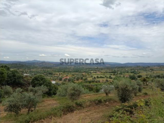 Terreno venda em Castelo Branco