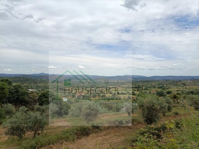Terreno venda em Castelo Branco