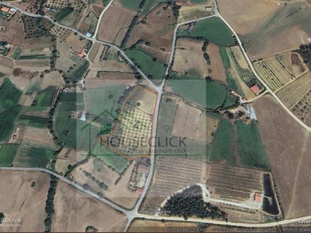 Terreno venda em Castelo Branco, Aldeia Nova Do Cabo