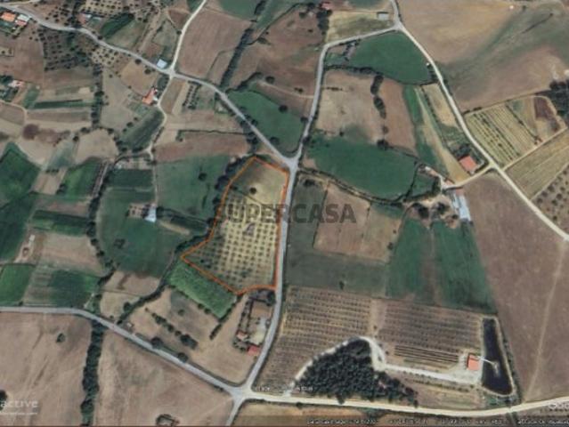 Terreno venda em Castelo Branco, Aldeia Nova Do Cabo