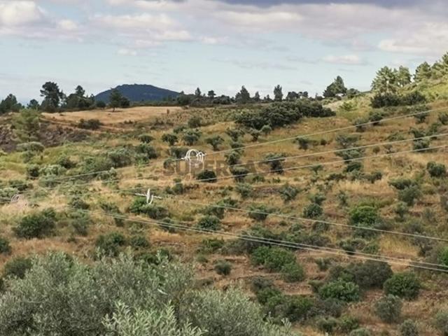 Terreno venda em Vila Flor, Bragança