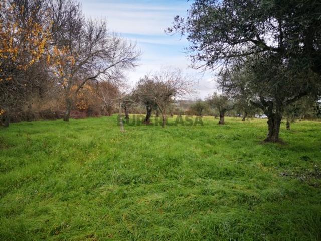 Terreno venda em Castelo Branco, Penamacor