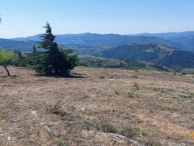 Terreno venda em Nagoselo Do Douro, Viseu